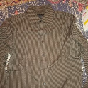 Express brown pinstripe button down